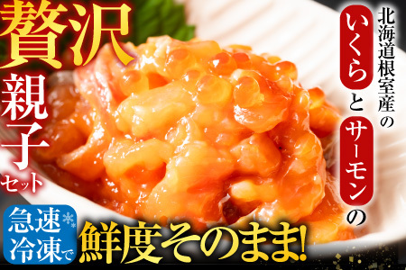 【北海道根室産】[鮭匠ふじい]いくら・サーモン親子丼の具 A-42019
