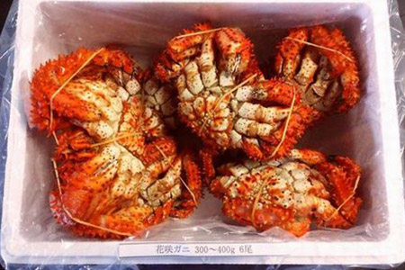 【北海道根室産】花咲ガニ300～400g×6尾 A-57004