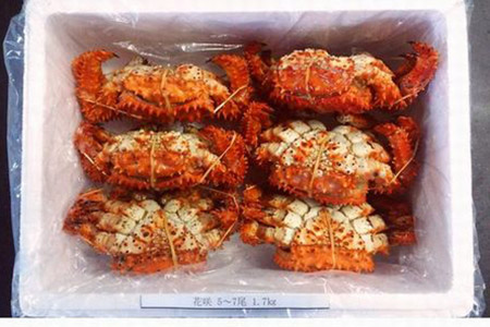 【北海道根室産】花咲ガニ5～7尾(計1.7kg前後) A-57027