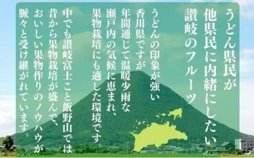 【11月中旬~12月下旬の間で順次発送予定】金時紅みかん 約5kg