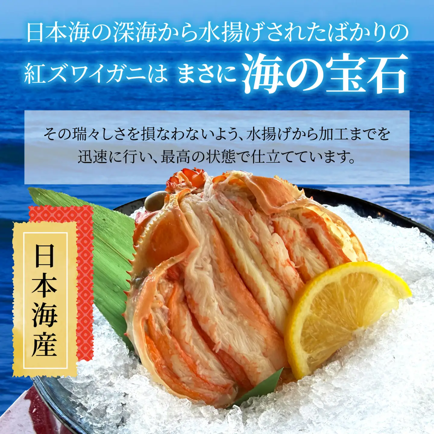 日本海産紅ズワイガニ甲羅盛り 約160g×4個 [A-007025] / 紅ずわいがに 甲羅盛り かに 蟹 蟹 ガニ 冷凍 紅ズワイガニ 蟹味噌 かに味噌 かにみそ むき身 カニ