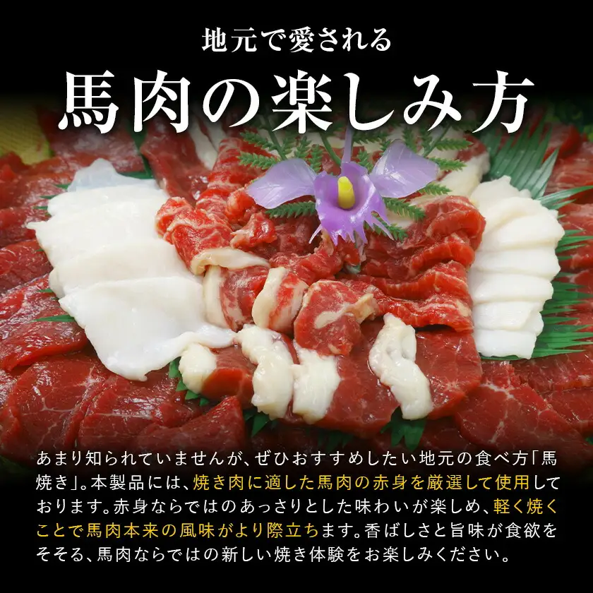 馬肉焼肉用 500g カット済 桜屋 《30日以内に出荷予定(土日祝除く)》