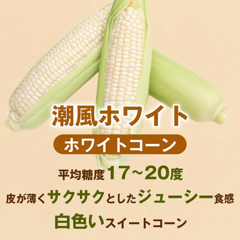 ［おいしさそのまま］訳アリ 潮風ホワイト 5kg 1セット とうもろこし トウモロコシ 白 コーン とうもろこし BBQ 焼き肉 白浜町