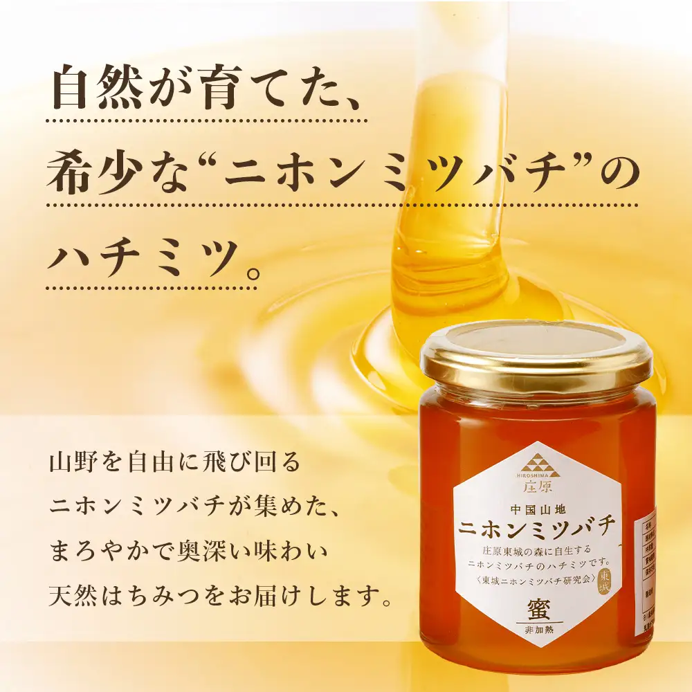 二ホンミツバチのハチミツ 250g×3個 | 合計750g はちみつ 蜂蜜 国産 非加熱 にほんみつばち 日本蜜蜂