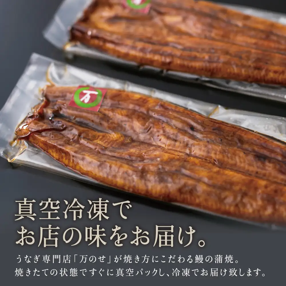 鹿児島県産 うなぎ蒲焼 2尾 セット うなぎ専門店 「万のせ」 ジューシー スタミナ ウナギ 鰻 蒲焼き 国産 ギフト うな重 たれ ひつまぶし 山椒 冷凍 簡単調理 土用 丑の日 贈り物 お取り寄せグルメ 冷凍 鹿児島県 南さつま市