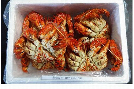 【北海道根室産】花咲ガニ410～500g×5尾 B-57002