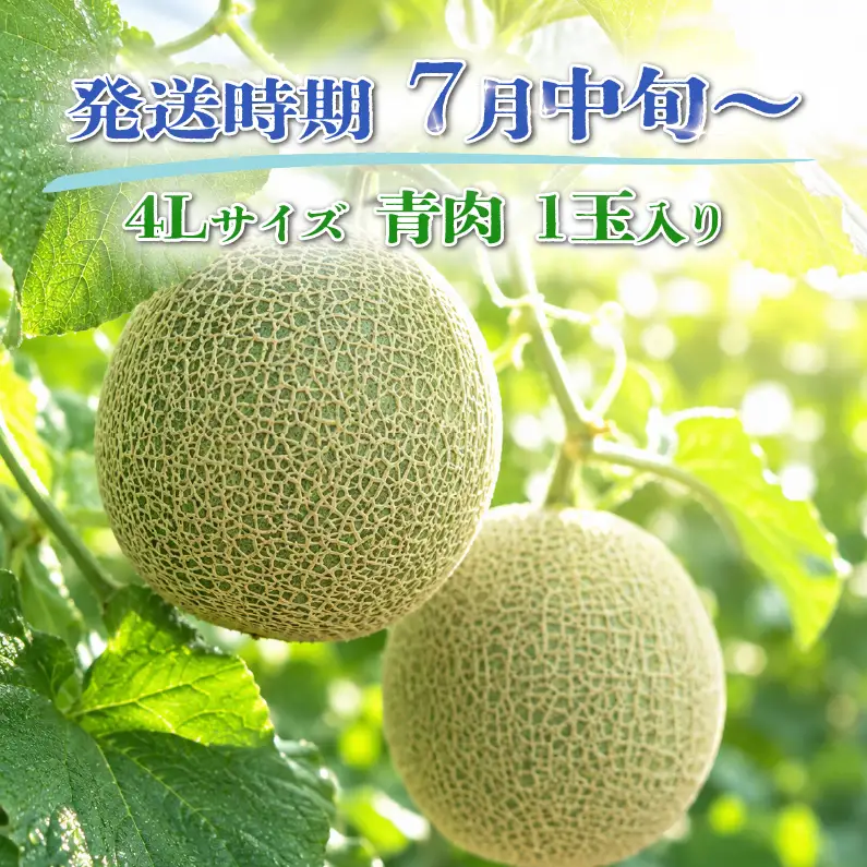 特選 メロン 青肉 4L 1玉 メロン メロン メロン メロン