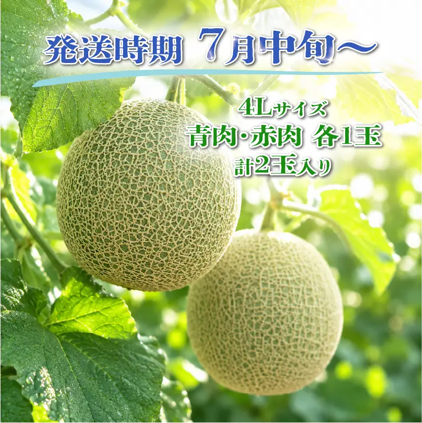 特選 メロン 赤肉 青肉 4L 計 2玉 メロン メロン メロン メロン