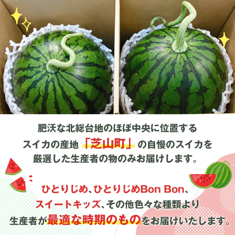 小玉スイカ ／ すいか 小玉 約1.5kg×2玉 芝山町産 厳選 旬 食べきりサイズ 水分補給 夏 甘い 高糖度 おやつ デザート 西瓜 お取り寄せ 産地直送 産直 送料無料 青果 千葉県 No.094
