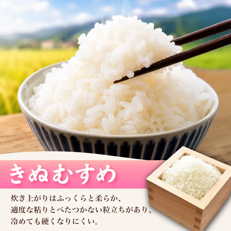 【先行予約】 きぬむすめ 10kg (5kg×2袋) 無洗米 令和8年産 【11月以降順次発送】 山口県産 《内日三町：DZ》