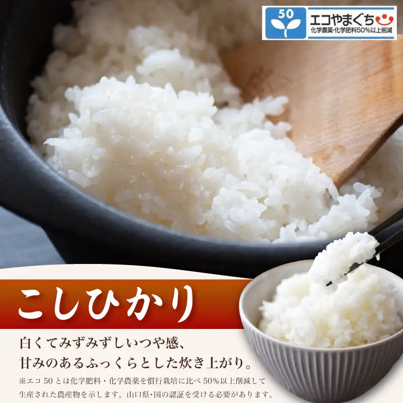 【先行予約】 コシヒカリ 10kg 隔月3回 (合計30kg) 無洗米 令和8年産 【10月以降順次発送】 山口県産 特別栽培エコ50 (化学農薬・肥料50％以上削減/精米まで一貫加工)  《内日三町：DZ》