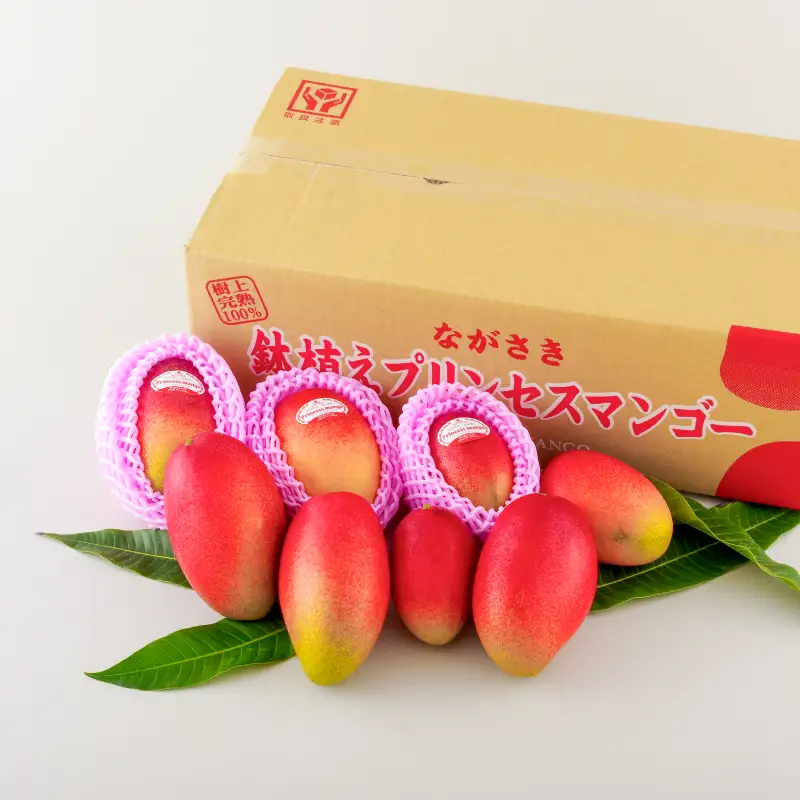 【先行予約】マンゴー 1kg プリンセスマンゴー FA001