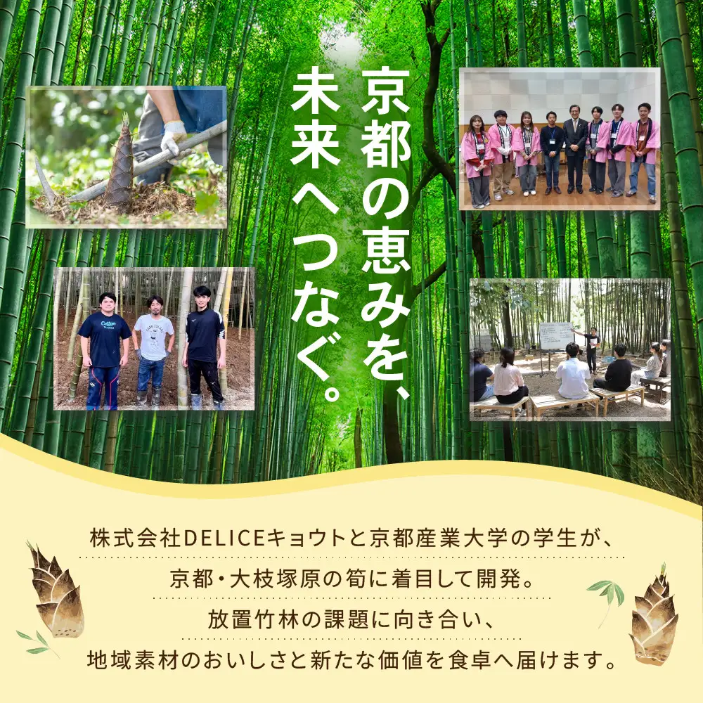 【DELICEキョウト】京味新辛 筍鹿そぼろ 80g×3袋｜京都 そぼろ 人気セット