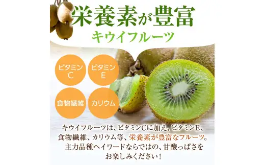 【先行予約】 先行予約！和歌山県産 秀品 キウイフルーツ 大玉15個入 こだわり農家厳選  / キウイ 果物 フルーツ ※2026年12月中旬～2027年1月中旬頃に順次発送予定 ※離島への配送不可【kgr021】