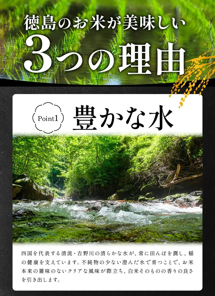 【7月上旬発送】 徳島ふるさと実り米 精米 5kg 