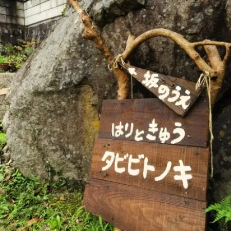 【大阪・千早赤阪村】自然に囲まれた古民家での鍼灸施術/問診+鍼灸初診150分※女性限定【1709371】