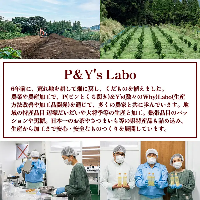 【A83014】フルーツ味わいセット(4種) 鹿児島 国産 フルーツ ソース 果物 果汁 ジュース ドリンク 甘夏 柑橘 みかん パッションフルーツ 辺塚だいだい シロップ ヨーグルト デザート 【農地所有適格法人株式会社P＆Y'sLabo】