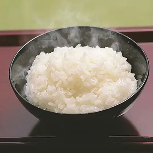 香川のお米 おいでまい 10kg お米 米 コメ 精米 白米 香川 香川県