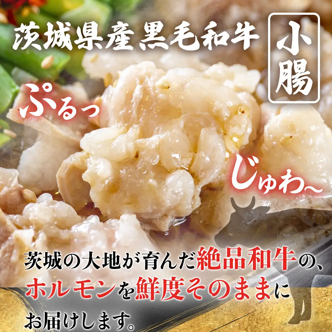 【茨城県産】 黒毛和牛 もつ鍋 焼肉用 小腸 400g（200g×2パック） (茨城県共通返礼品)