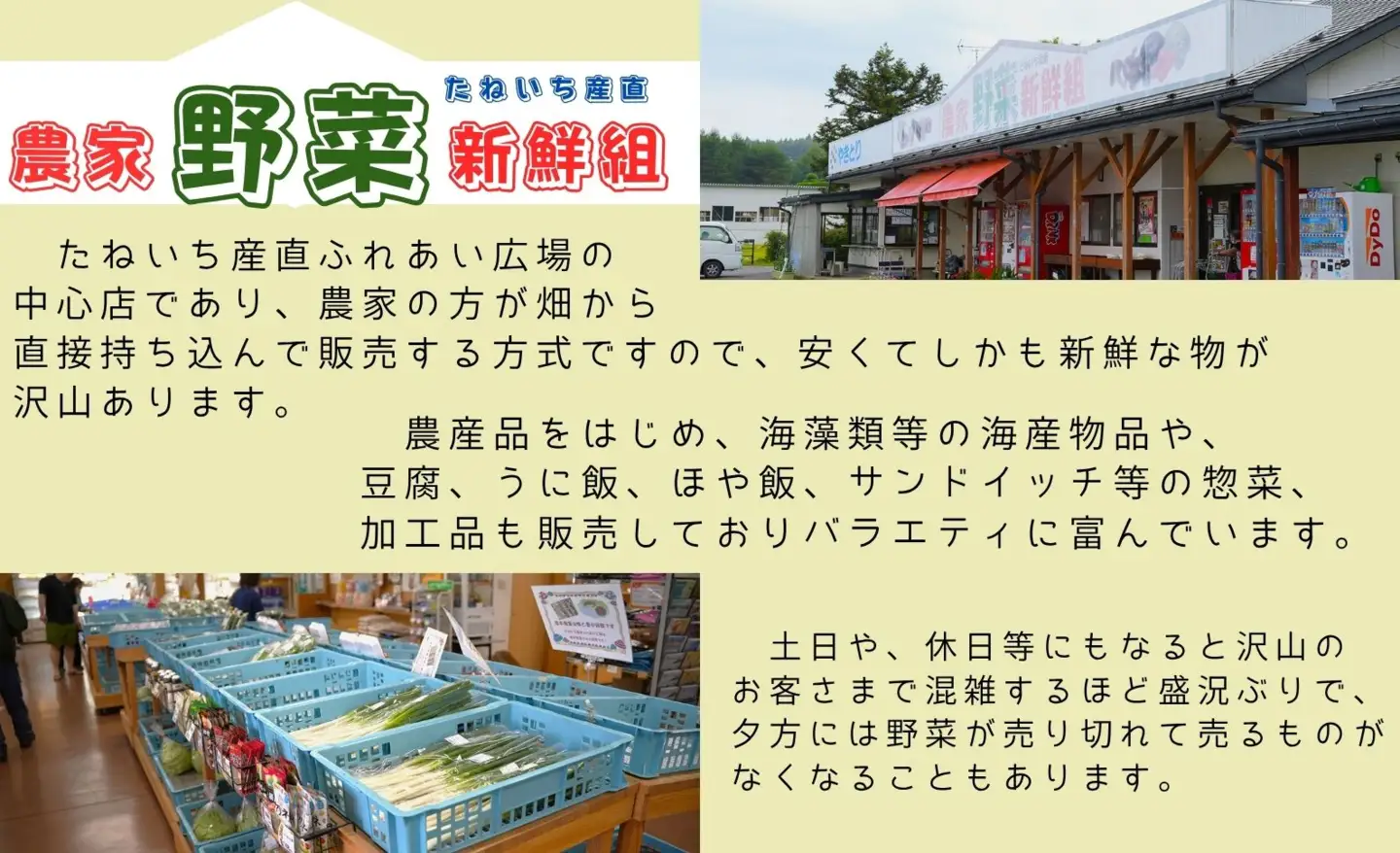 季節のお野菜おまかせセット（4～5品程度）