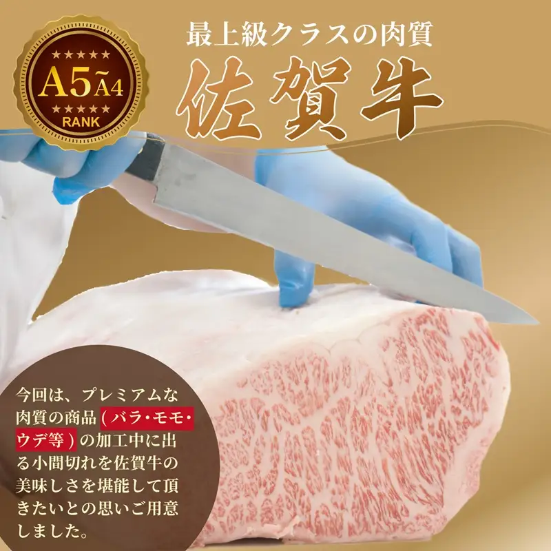 佐賀牛(プレミアム）小間切れ 1kg：B220-060