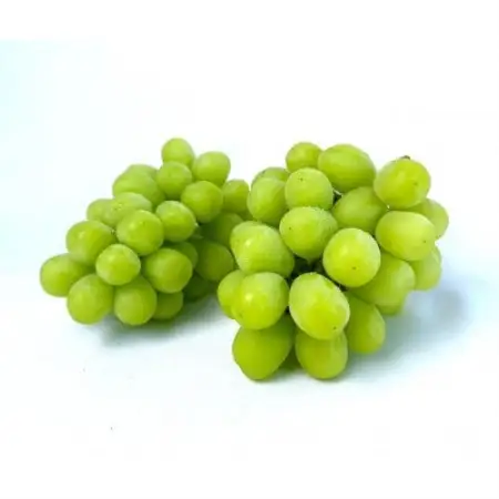 【先行受付】信州高山村産　シャインマスカット1kg(2～3房入り)秀品(訳あり品ではございません)【配送不可地域：離島・北海道・沖縄県】【1740774】