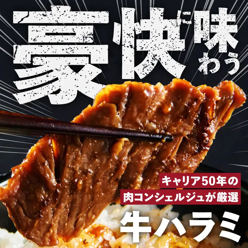 ガツめし牛ハラミ 600g 追いダレ漬け