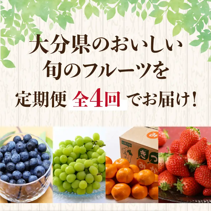 大分県産 旬のフルーツ定期便 ＜計4回お届け＞ T10100