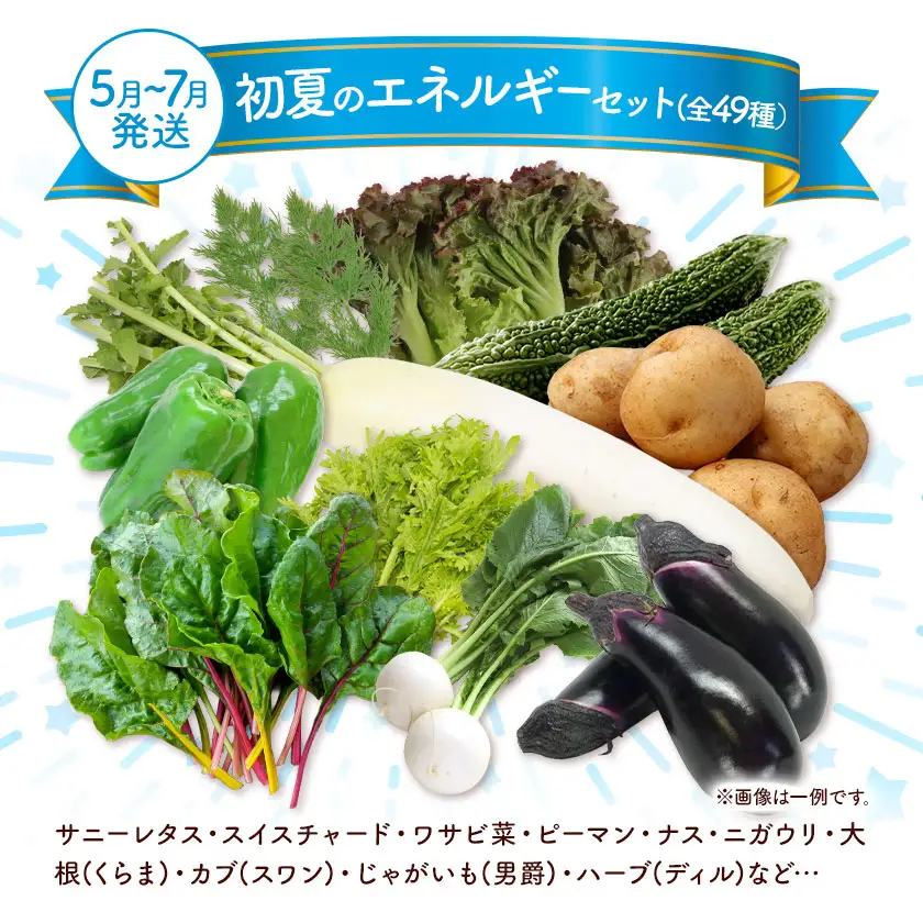 野菜 季節の野菜 10品 詰め合わせ セット ほのぼのしいば農園《5月上旬-7月下旬頃出荷》