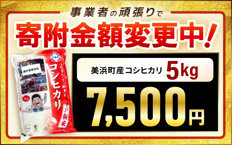 コシヒカリ 5kg 令和7年産 美浜町産 8月下旬発送 [m60-a019_08]