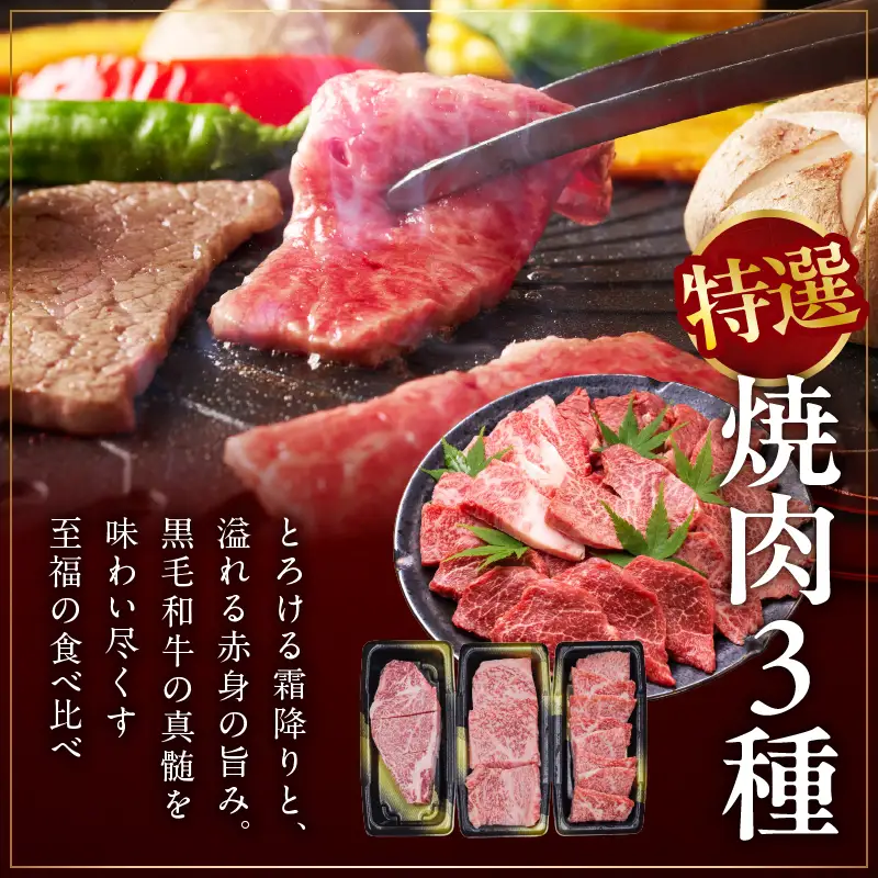 特選黒毛和牛 お肉の贈り物 焼肉 3種 360g 化粧箱入り 氷温熟成×極味付け