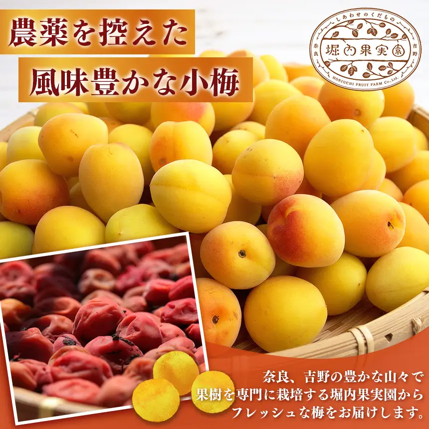 【堀内果実園】【訳あり】特別栽培・大切に育てた完熟南高梅（2kg） | 果実 旬 奈良県 五條市