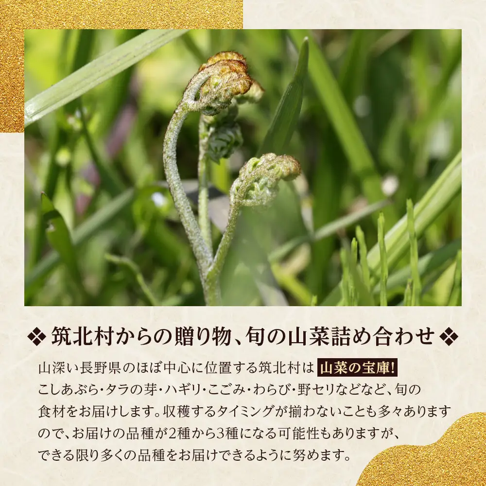 先行予約【2027年4月中旬頃～順次発送予定】ちっくほっくふぁ～む　山の恵み　山菜セット