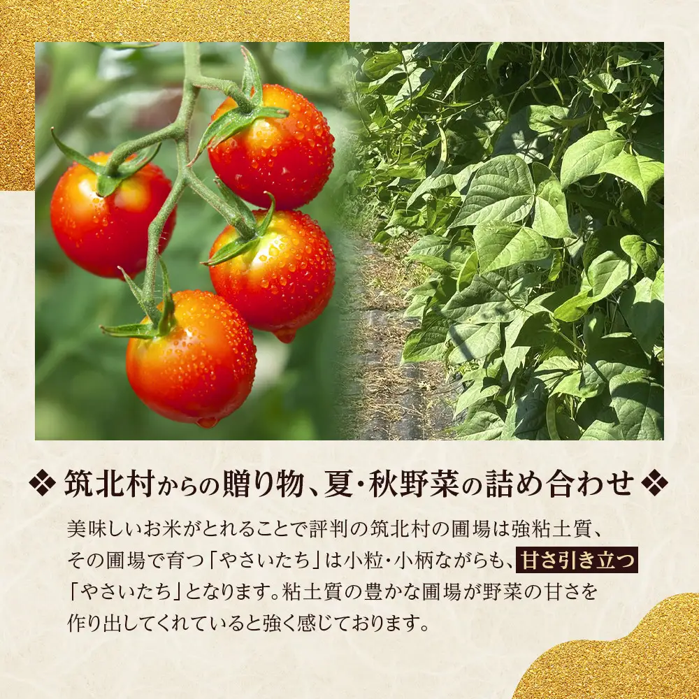 先行予約【2026年9月上旬頃～順次発送予定】ちっくほっくふぁ～む　夏・秋野菜セット