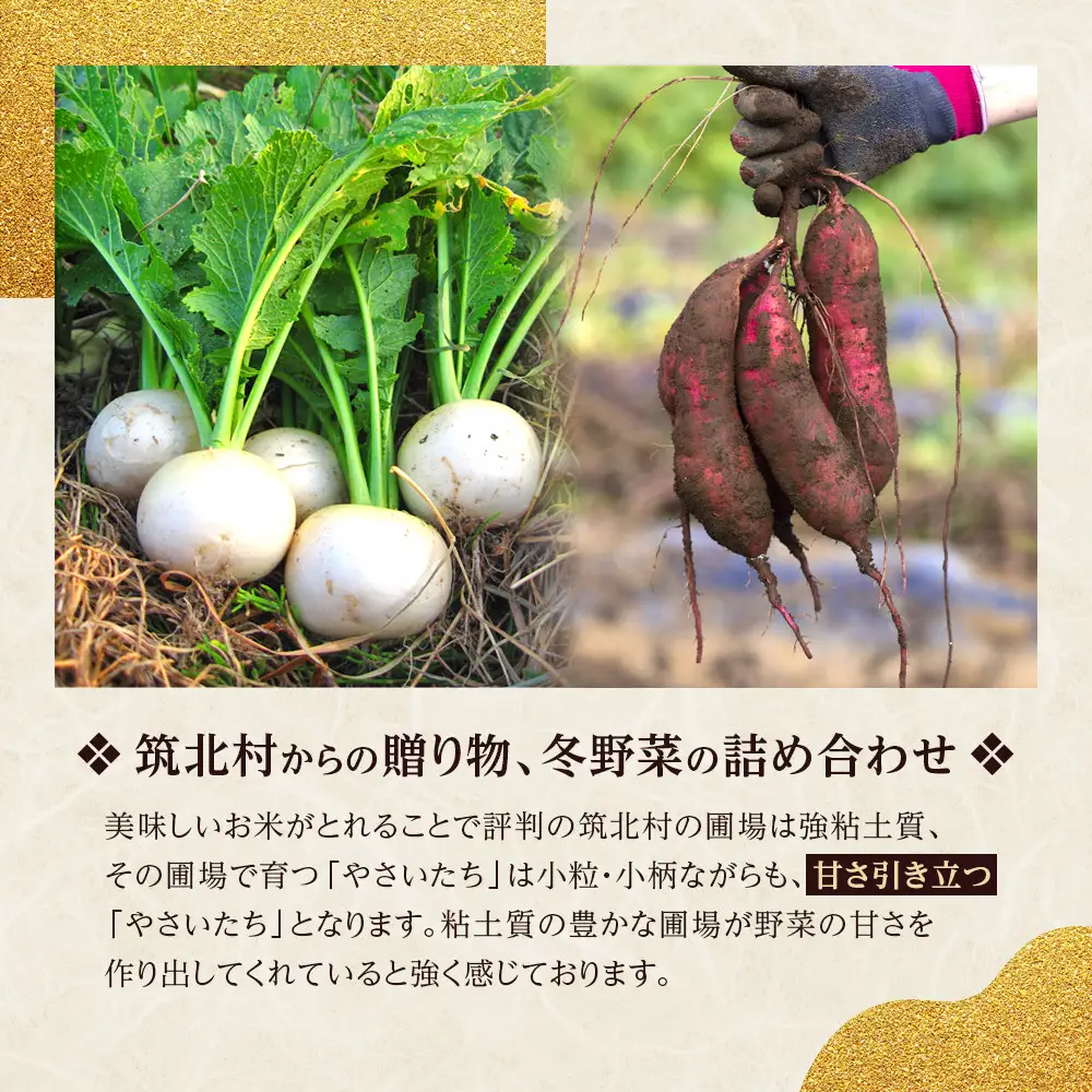 先行予約【2026年11月上旬頃～順次発送予定】ちっくほっくふぁ～む　冬野菜セット