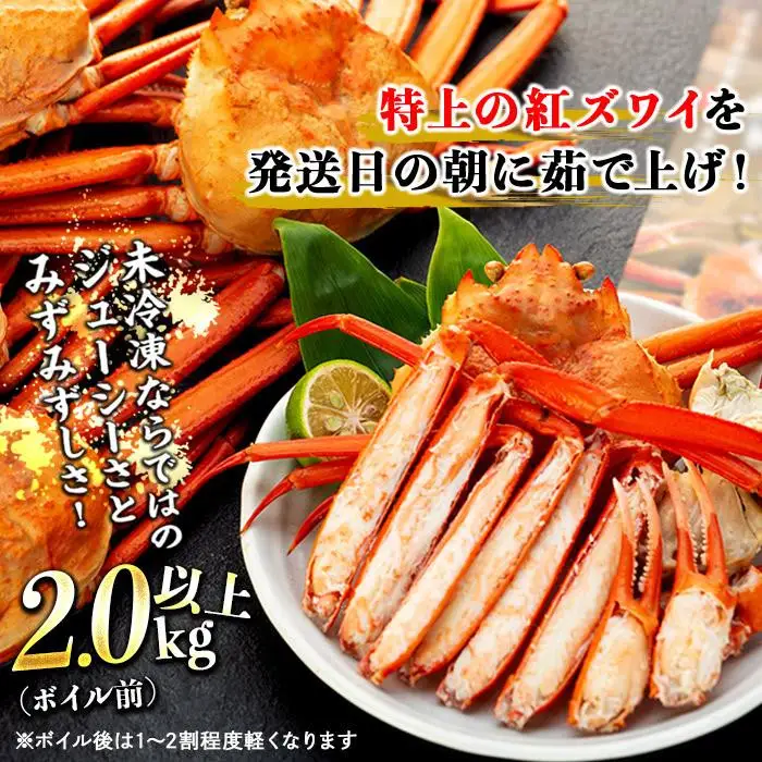 2026年10月発送【訳あり】金沢港より直送！ボイル紅ズワイガニ 3～5杯セット かに 蟹