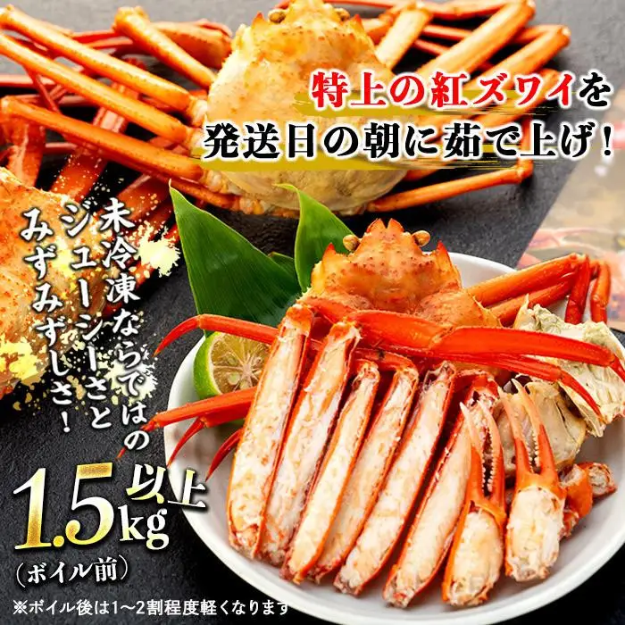 2026年12月発送【訳あり】金沢港より直送！ボイル紅ズワイガニ 3～4杯セット かに 蟹