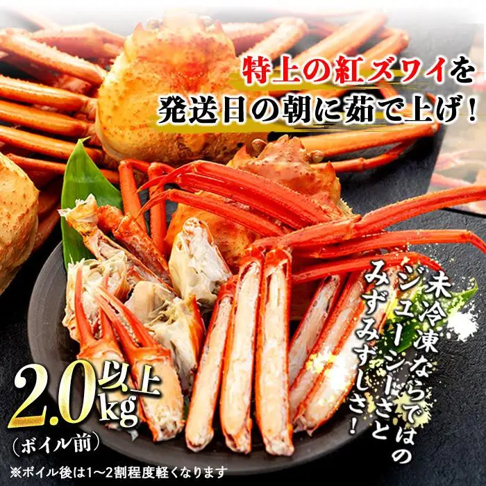 2027年2月発送【訳あり】金沢港より直送！ボイル紅ズワイガニ 大サイズ3～4杯セット かに 蟹