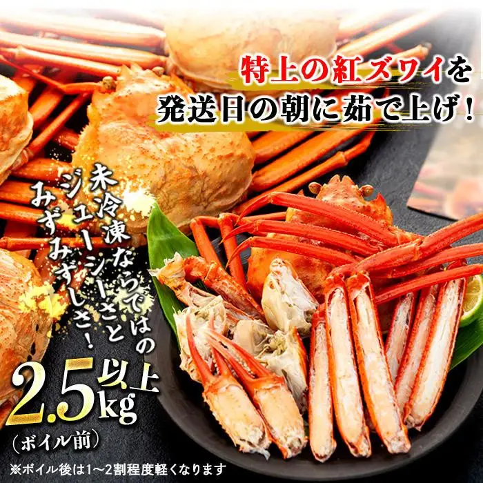 2027年2月発送【訳あり】金沢港より直送！ボイル紅ズワイガニ 大サイズ3～5杯セット かに 蟹