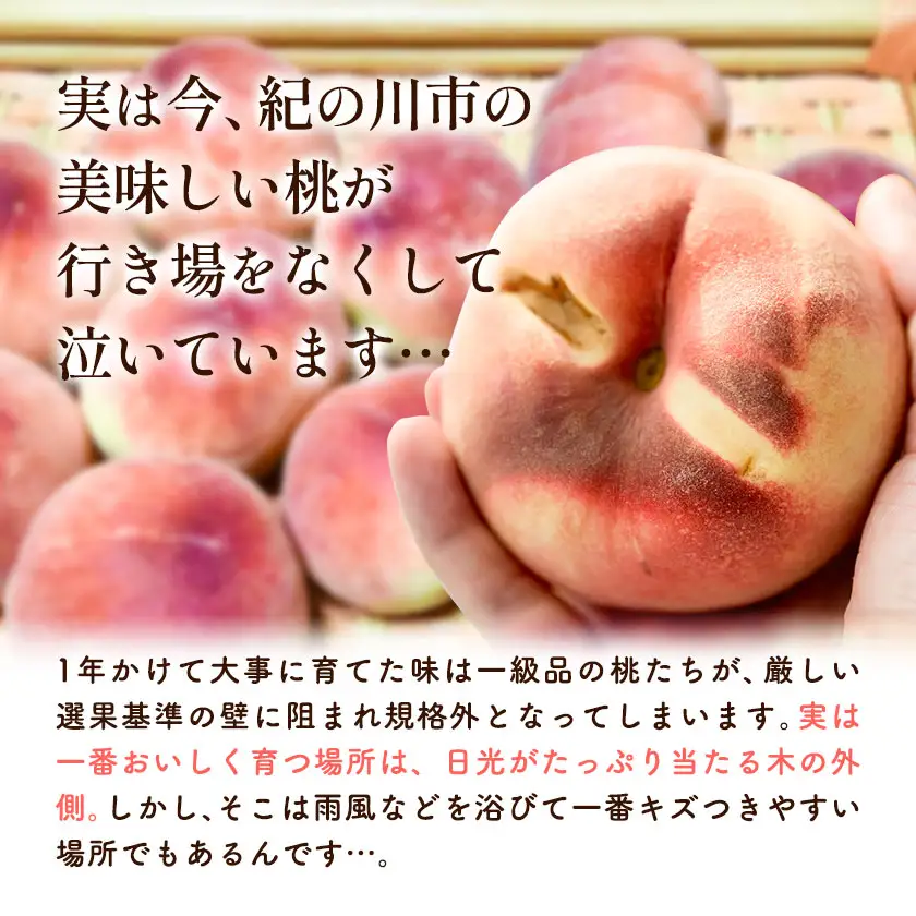 もったいない桃 約2kg【配送不可地域あり】