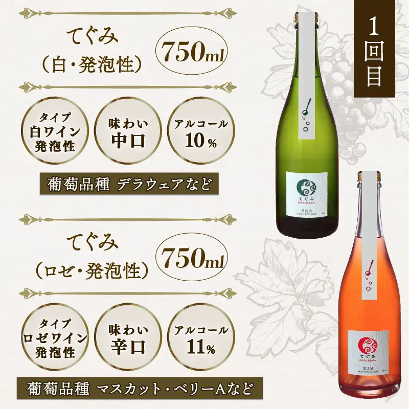 【3回定期便】丹波ワイン 飲み比べ 750ml 2本 × 3カ月 6本 セット ワイン 
