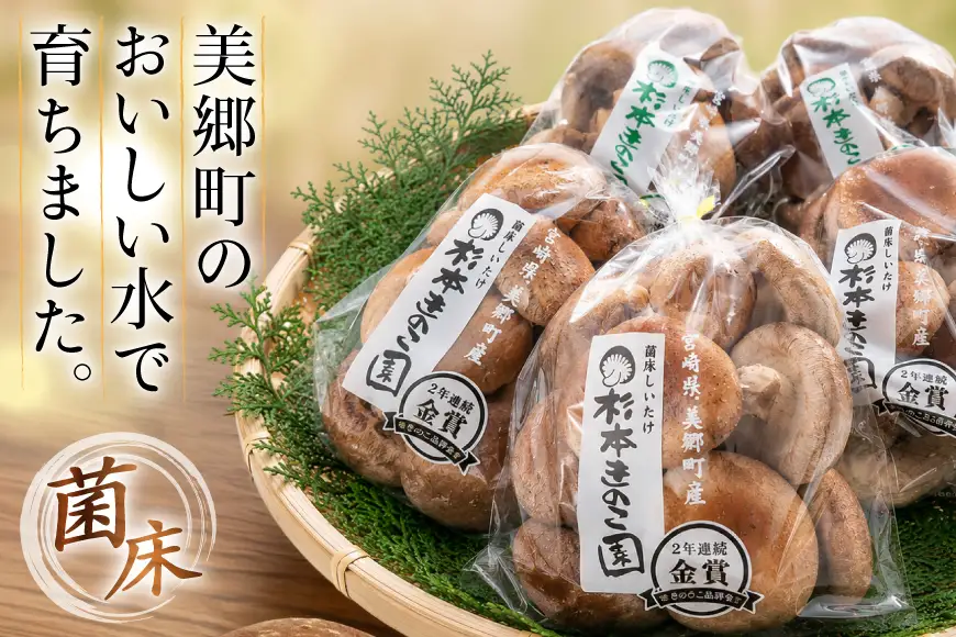 生しいたけ セット 約300g× 2袋 約150g× 2袋 計4袋 約900g [杉本きのこ園 宮崎県 美郷町 31bs0001]