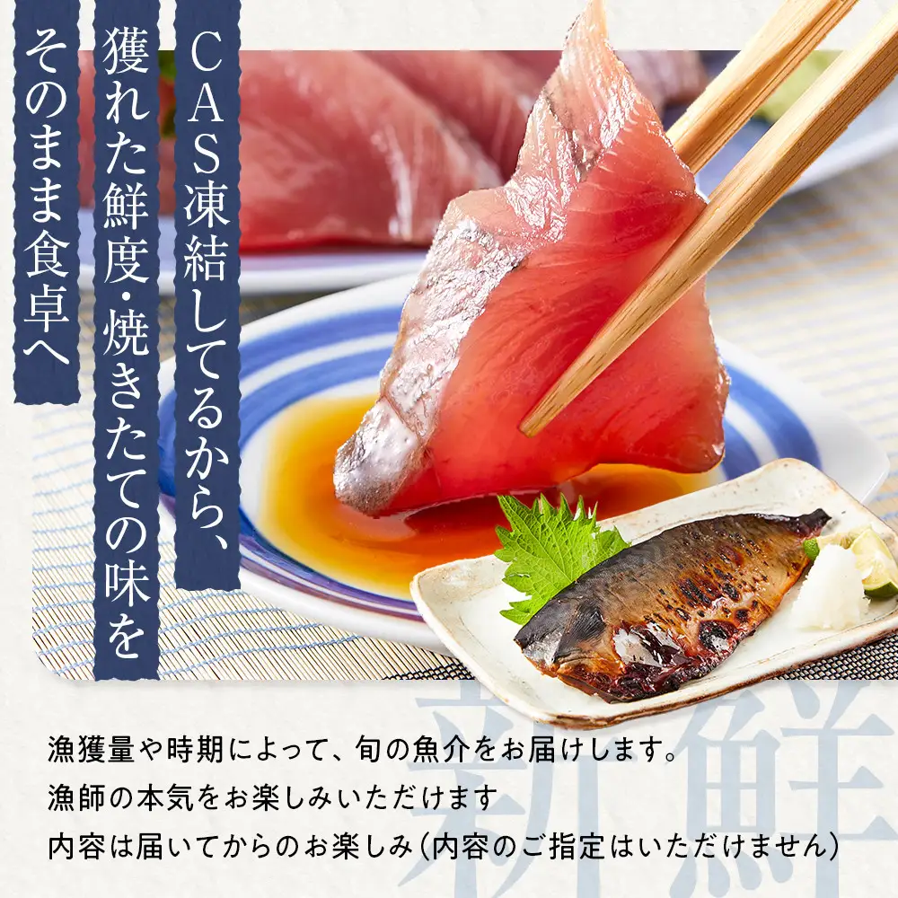 CAS凍結 南紀の誉れ 旬 の 海産物 6品 セット お楽しみ 簡単調理 干物 お造り 塩焼き など