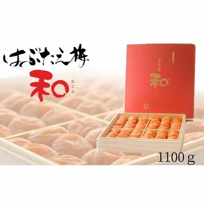 はちみつ南高梅 はぶたえ梅『和』薄皮で豊潤！贅沢な逸品！