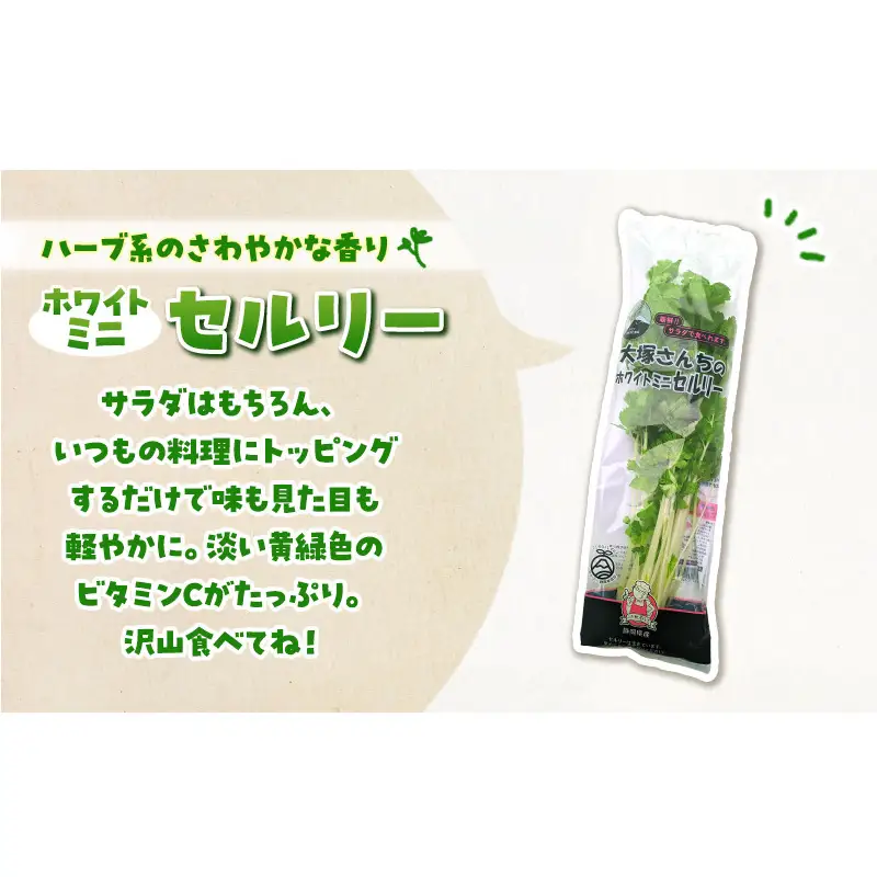 定期便 3回 ホワイトミニセルリー 5袋 ＆ サラダほうれん草 7袋 計36袋 野菜 詰め合わせ 毎月届く 3ヶ月 セロリ ほうれんそう 新鮮 産地直送 野菜セット 詰合せ