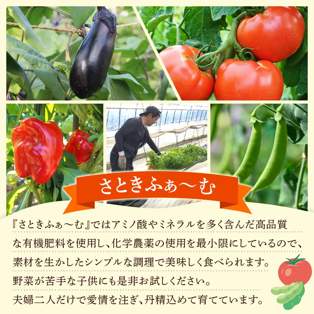 【先行予約】旭川のおまかせ野菜セット(6種以上)(2026年7月下旬発送開始) 野菜セット _05908