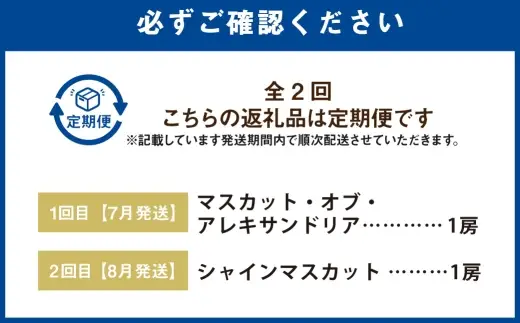 【 全2回定期便 （ 7月 ・ 8月発送予定 ） 】 マスカット ・ オブ ・ アレキサンドリア （ 1房 約500g以上 ） 、シャインマスカット （ 1房 約500g以上 ） ブドウ ぶどう 葡萄 マスカット エメラルドグリーン 果物の女王 くだもの 果物 フルーツ 果実 果汁 果肉 国産 岡山県産 種なし 皮ごと 定期 定期配送 旬