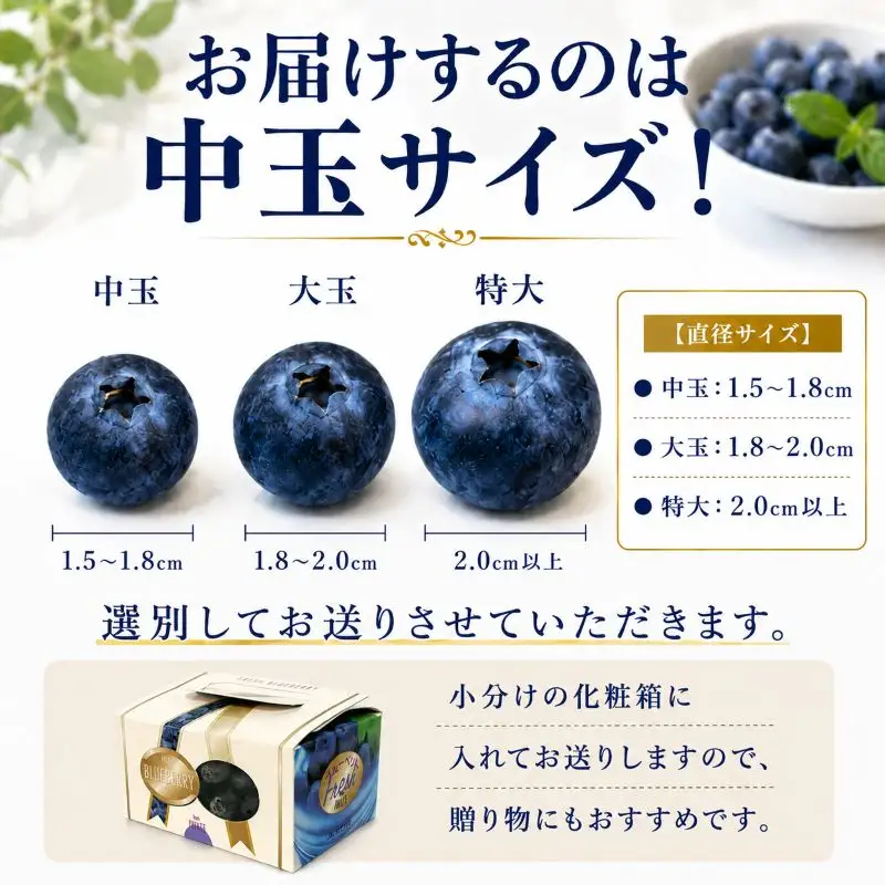【7月発送】完熟 ブルーベリー 中玉 750g (150ｇ×5) 北田りんご園 kitada002 ブルーベリー