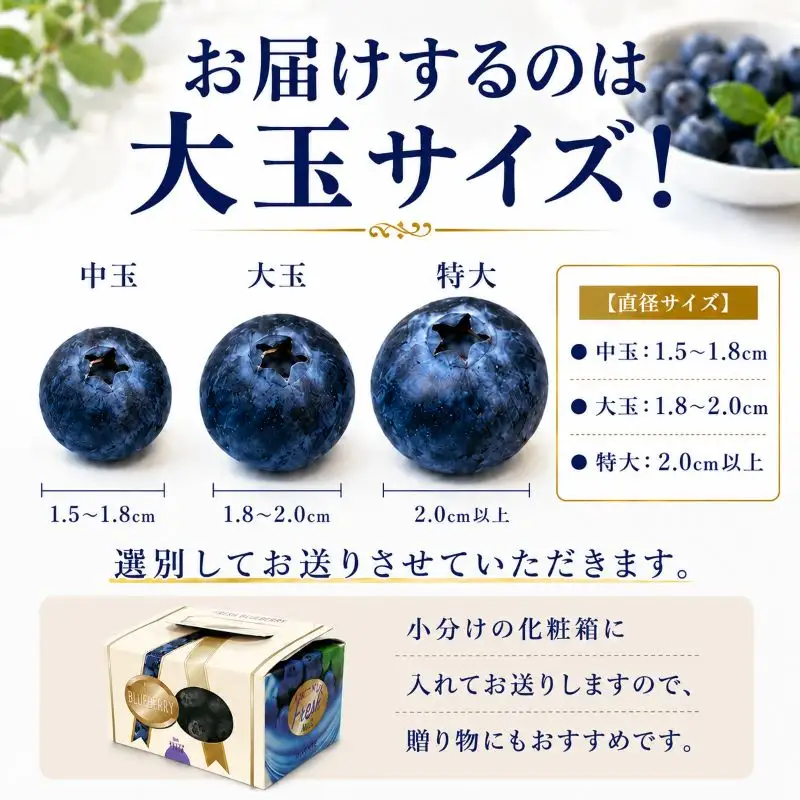 【7月以降発送】完熟 ブルーベリー 大玉 750g (150ｇ×5) 北田りんご園 kitada003