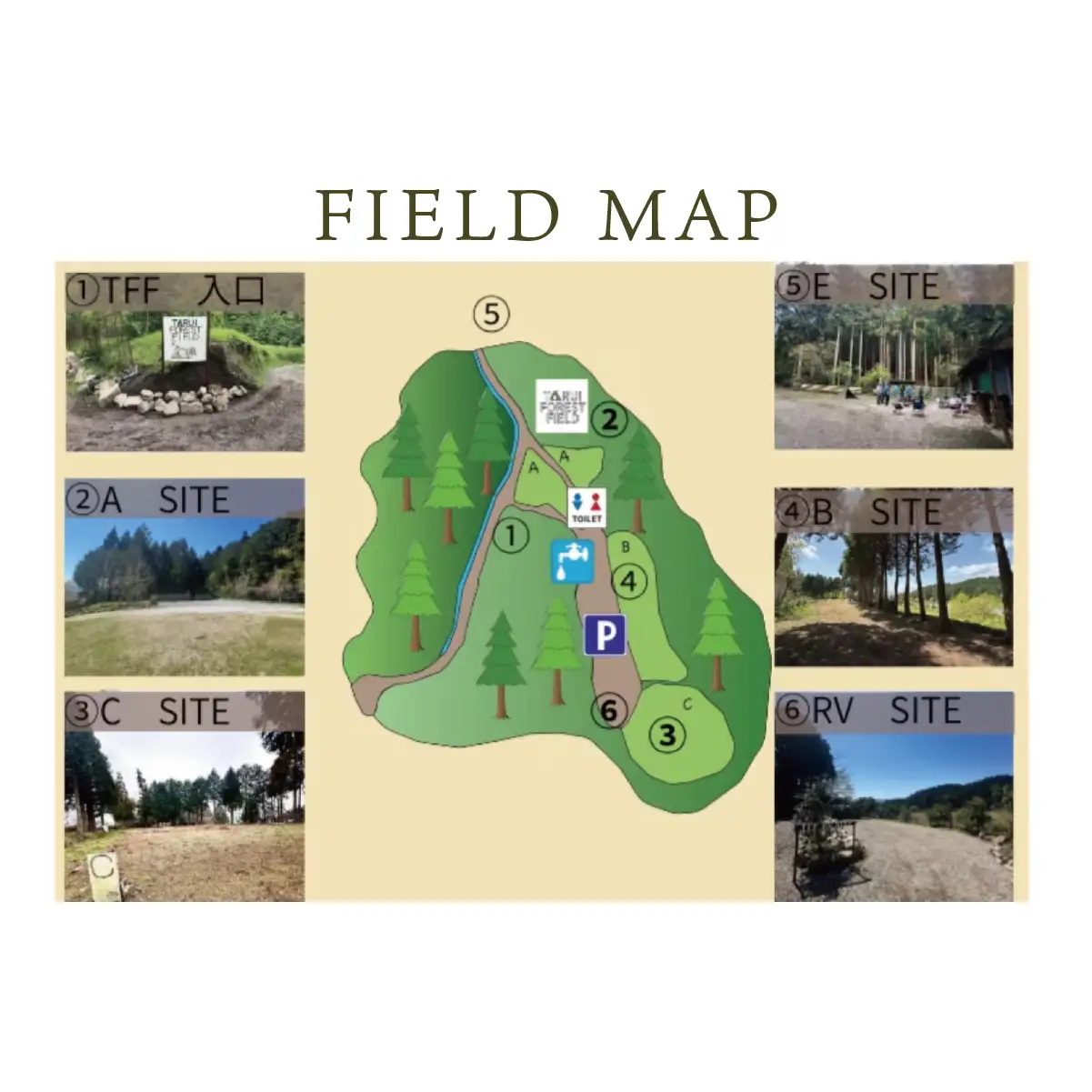 【敷地まるごと完全貸切】手作りのプライベートキャンプ場【TARUI FOREST FIELD】 施設利用券（５０００円分）｜東海 岐阜県 垂井町 キャンプ場 チケット 独立サイト 隠れ家キャンプ場 貸切 ペット可 ペットOK ソロキャン グルキャン ファミキャン 車中泊